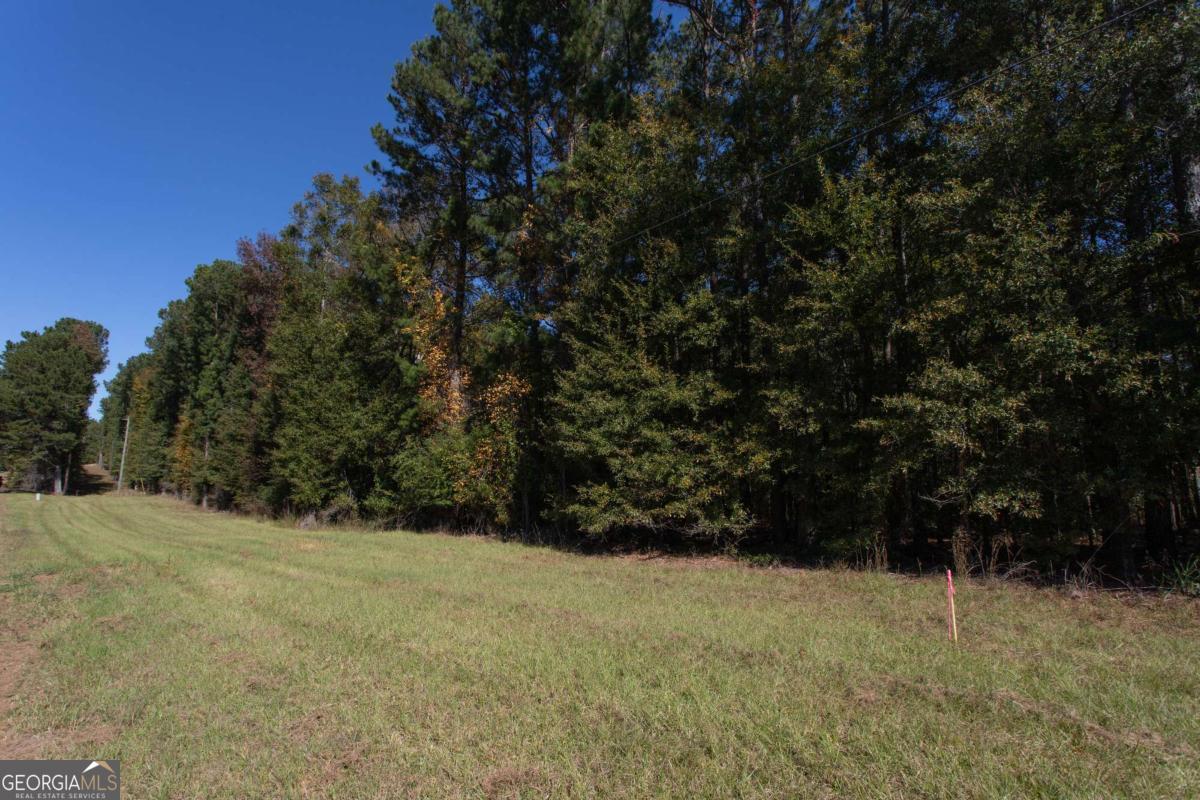 Lot D Salem Road Watkinsville, GA 30677 - Photo 9 of 23