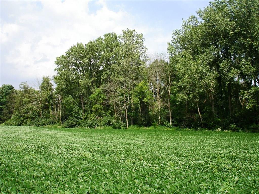 11-acres Selma Road Springfield, OH 45505 - Photo 3 of 5