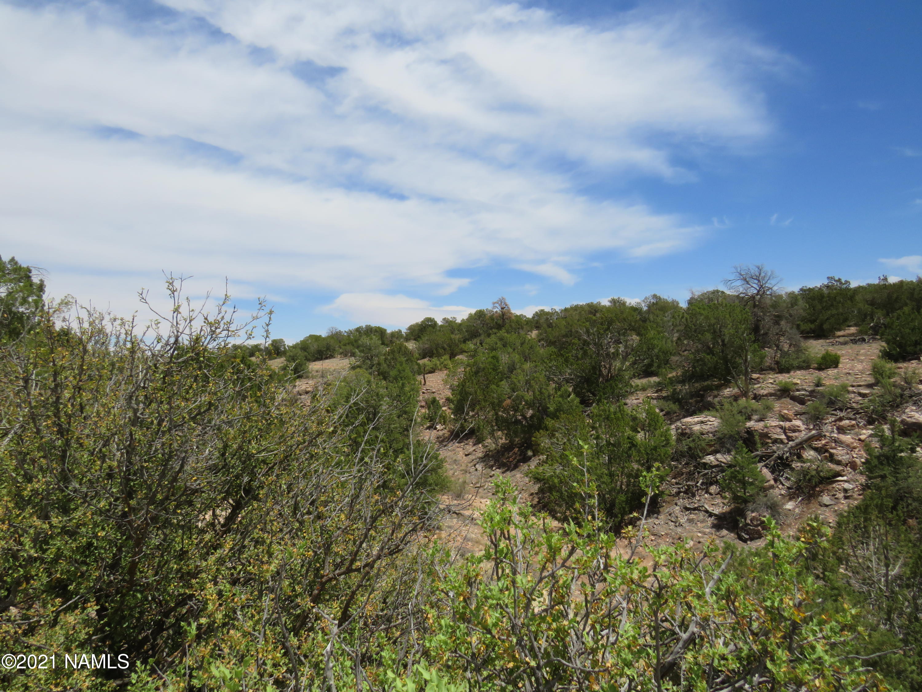5864 Latigo Road Williams, AZ 86046 - Photo 30 of 41 IMG_0906