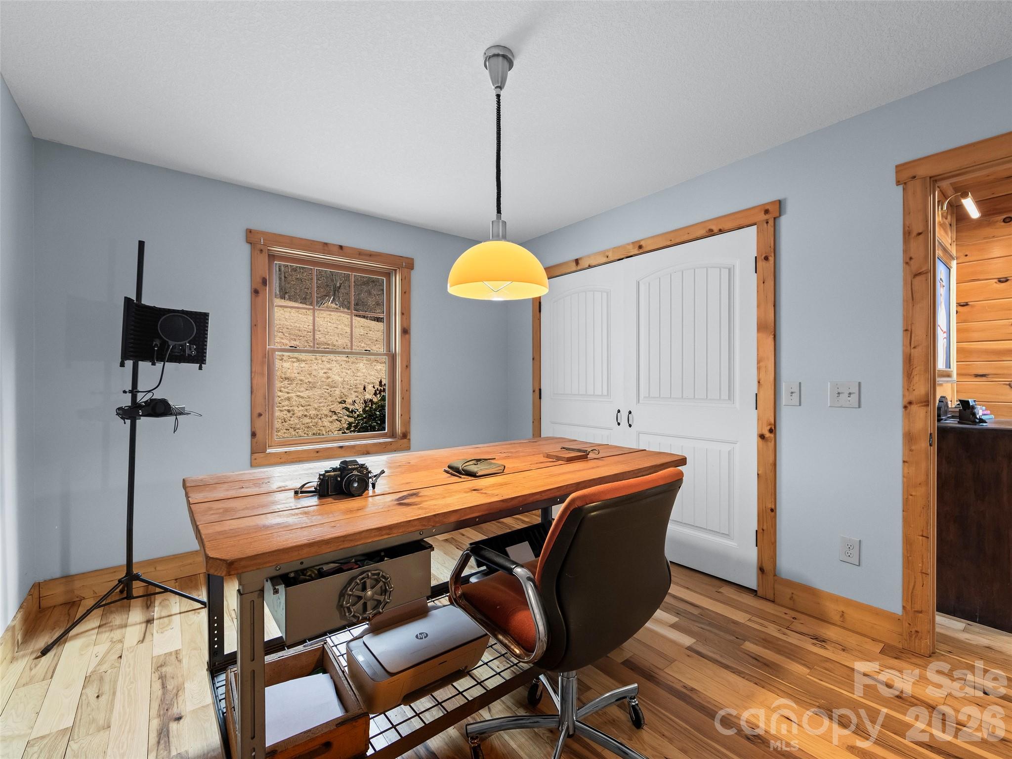 110 Mailon King Road Leicester, NC 28748 - Photo 14 of 26