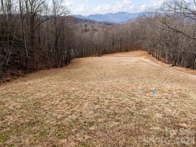 $895,000 | 110 Mailon King Road, Leicester, NC 28748