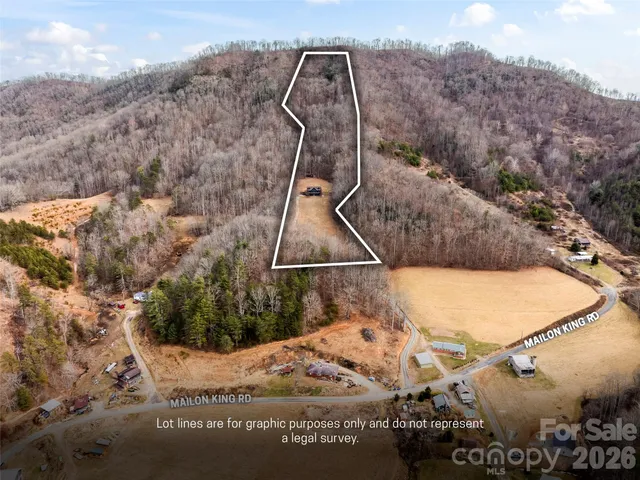 $895,000 | 110 Mailon King Road, Leicester, NC 28748