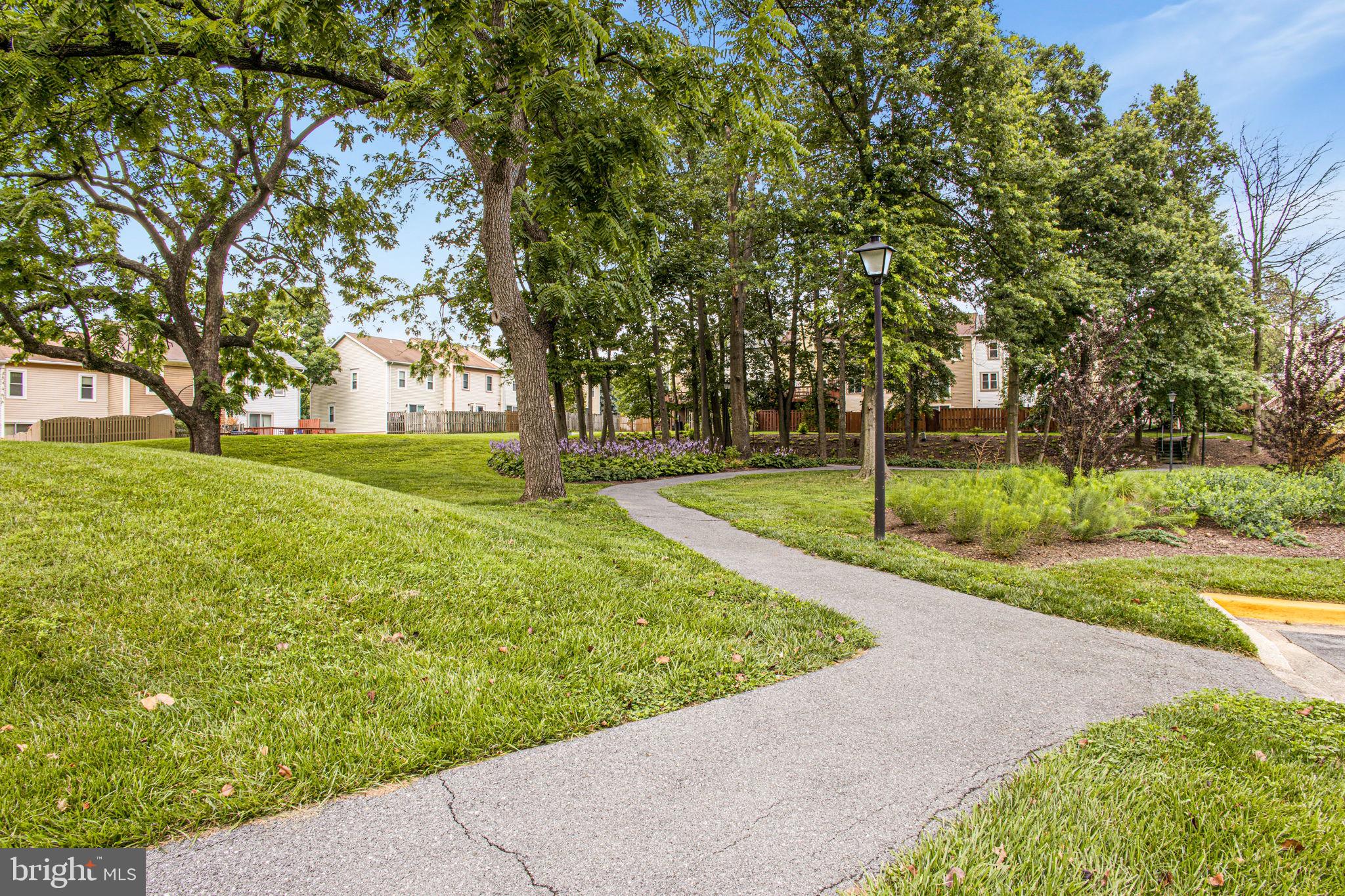 2830 Schoolhouse Circle Silver Spring, MD 20902 - Photo 50 of 58 a view of a backyard with large trees