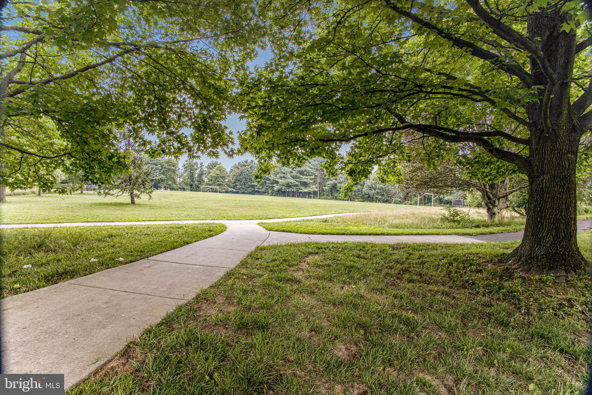 2830 Schoolhouse Circle Silver Spring, MD 20902 - Photo 52 of 58 a view of a yard with a large trees