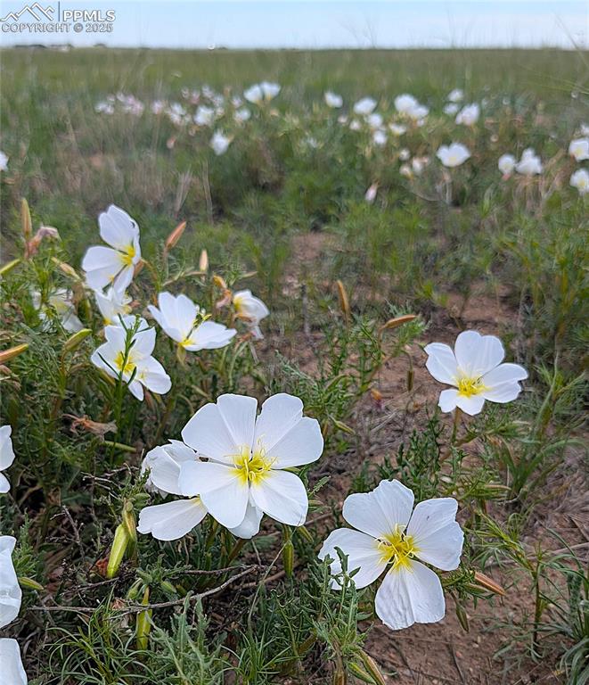 7995 Cowboy Rnch View Peyton, CO 80831 - Photo 12 of 24 a bathroom with a sink mirror and vanity