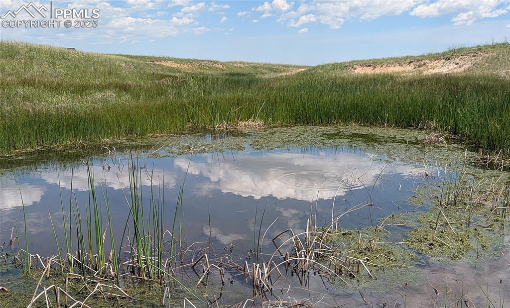 7995 Cowboy Rnch View Peyton, CO 80831 - Photo 2 of 24 a view of a lake view with beach