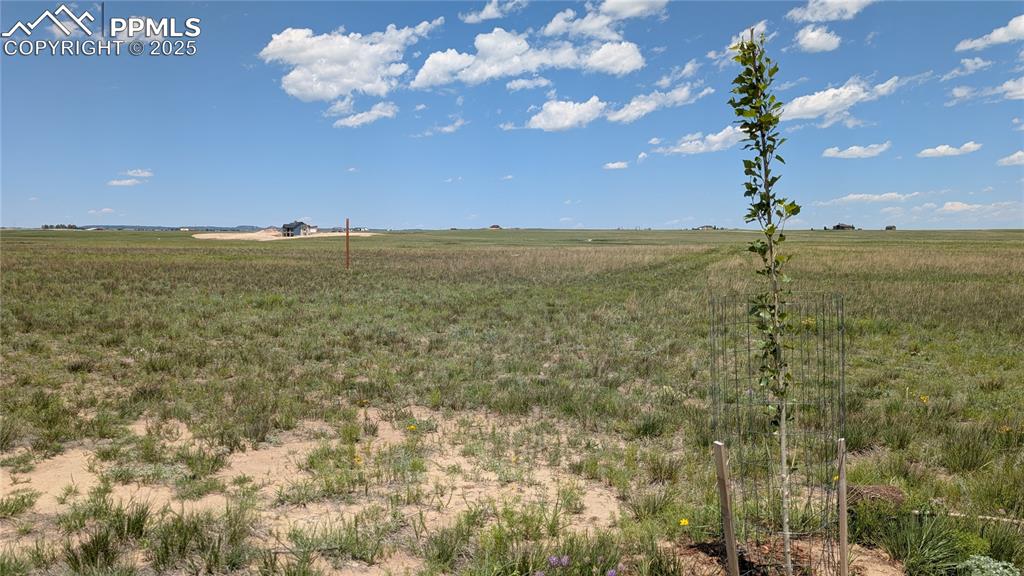 7995 Cowboy Rnch View Peyton, CO 80831 - Photo 22 of 24 a view of a room with a yard