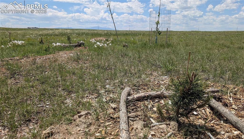 7995 Cowboy Rnch View Peyton, CO 80831 - Photo 24 of 24 a view of a yard with an outdoor space