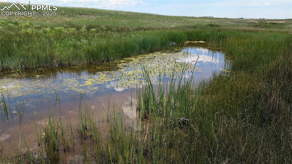 7995 Cowboy Rnch View Peyton, CO 80831 - Photo 3 of 24 a view of lake