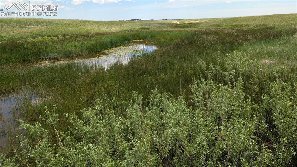 7995 Cowboy Rnch View Peyton, CO 80831 - Photo 4 of 24 a view of lake with green space