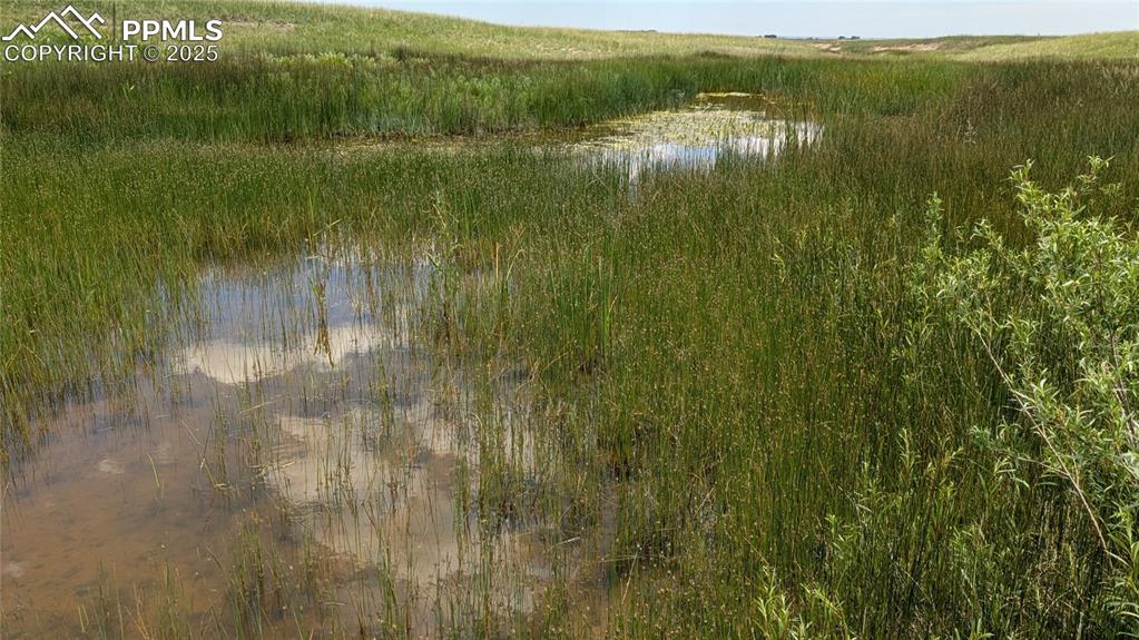 7995 Cowboy Rnch View Peyton, CO 80831 - Photo 5 of 24