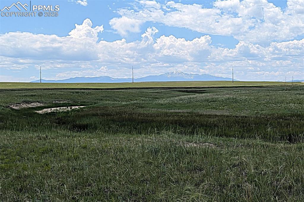 7995 Cowboy Rnch View Peyton, CO 80831 - Photo 7 of 24 a view of a golf course with a lake