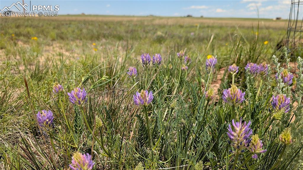 7995 Cowboy Rnch View Peyton, CO 80831 - Photo 10 of 24 a view of a lake with a sitting area