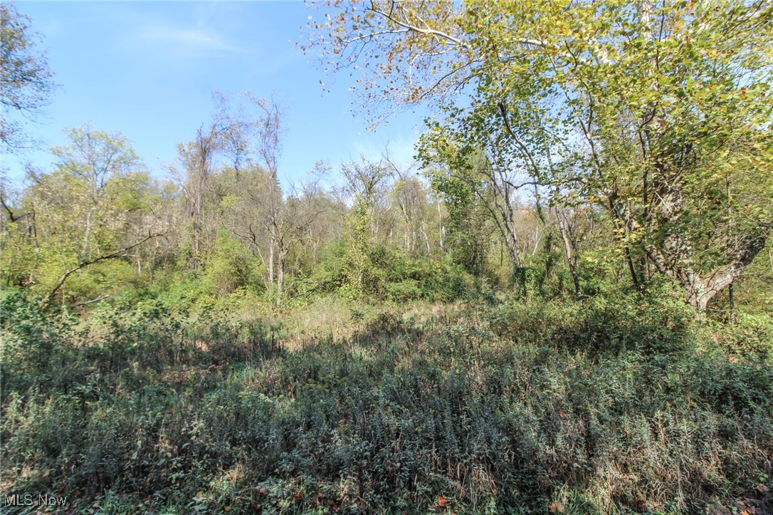 Lot 3 Brooks Road Reno, OH 45773 - Photo 12 of 17 View of wooded area