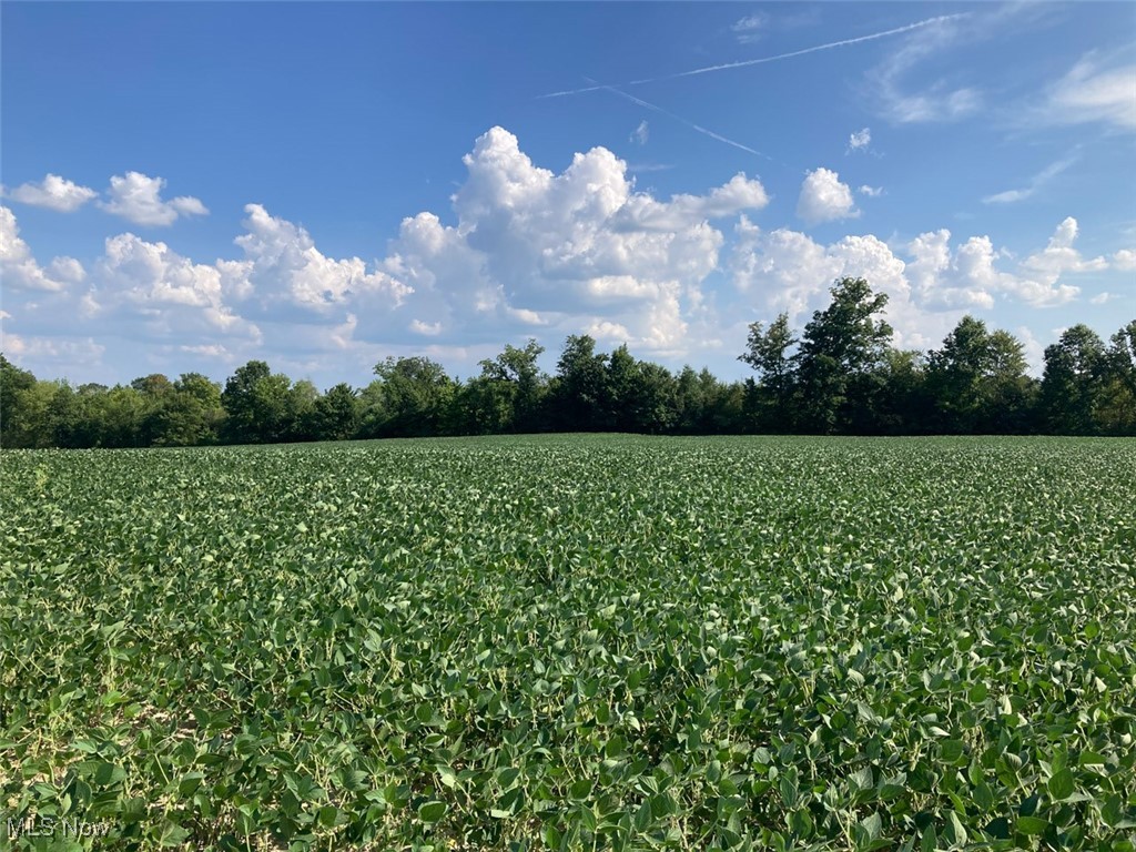 225 St Route Diamond, OH 44412 - Photo 13 of 21 View of nature featuring farmland and rural landscape