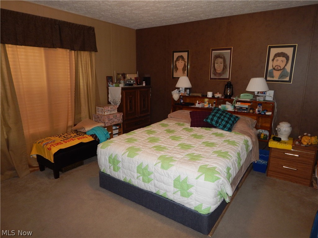 2746 Bean Ridge Smithville, WV 26178 - Photo 10 of 35