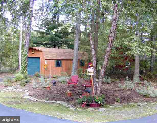 Gallery Image 7