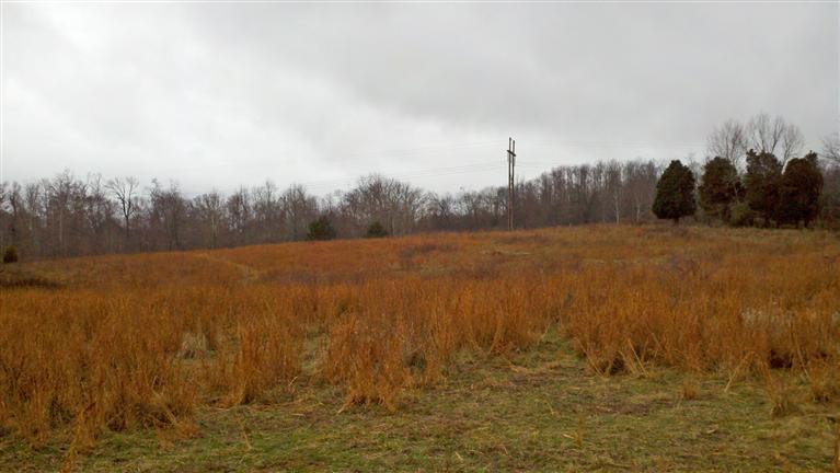 1 Vaught Ridge Road Science Hill, KY 42553 - Photo 1 of 8 Primary Photo