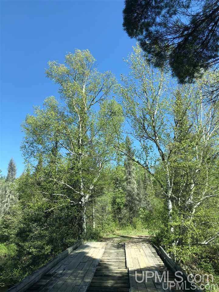 0 Co Road Michigamme, MI 49861 - Photo 2 of 3