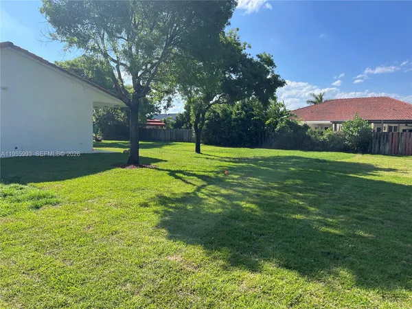 a view of a field with a tree