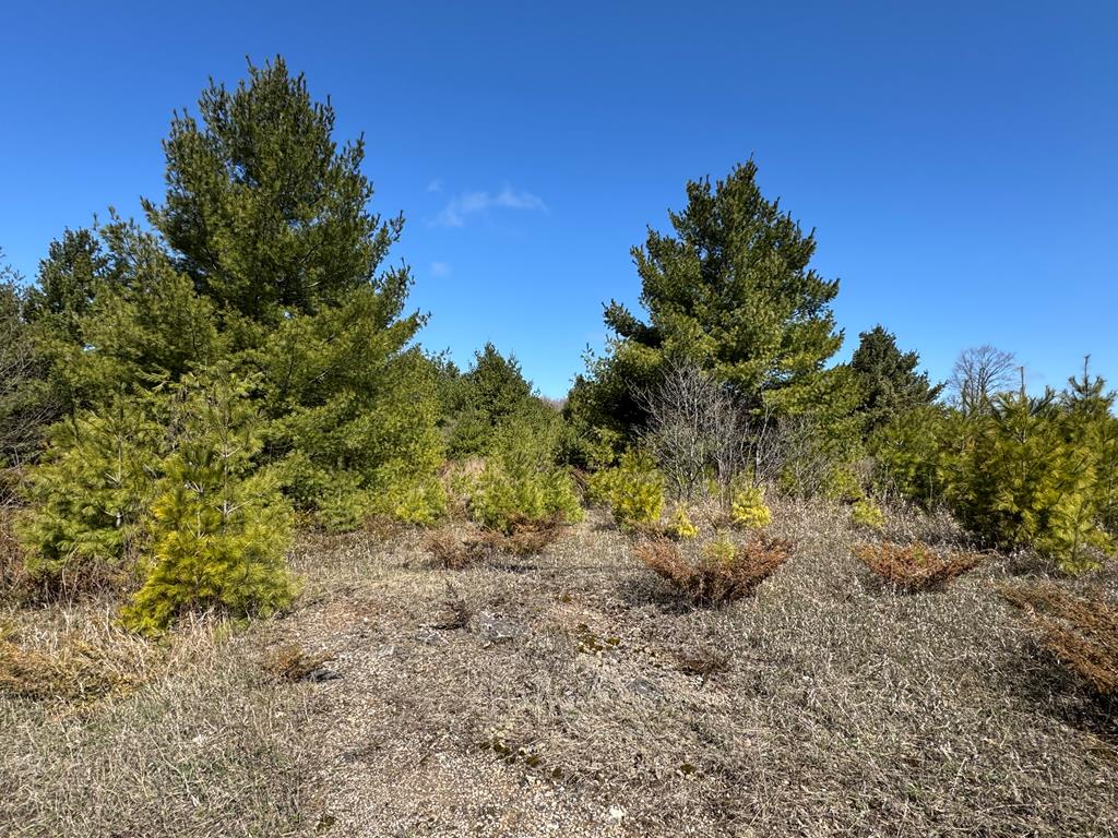Lot 2 County Road Baileys Harbor, WI 54202 - Photo 1 of 8