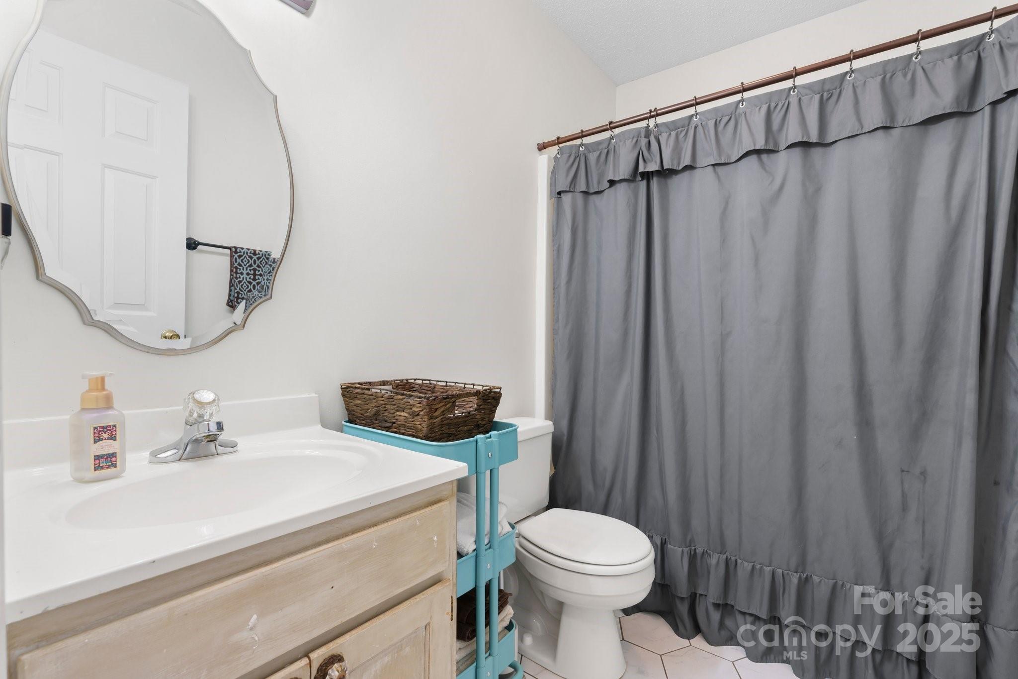 5184 Swinging Bridge Road Conover, NC 28613 - Photo 15 of 38 a bathroom with a sink a toilet and a mirror