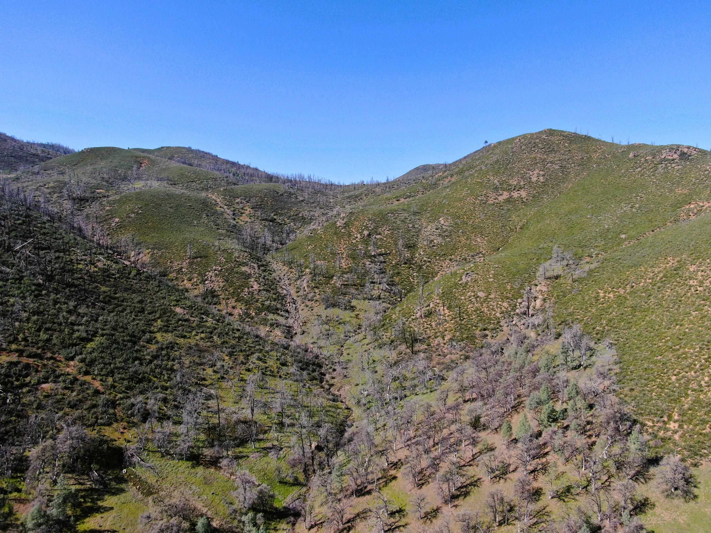 0 Tedoc Road Red Bluff, CA 96080 - Photo 18 of 18