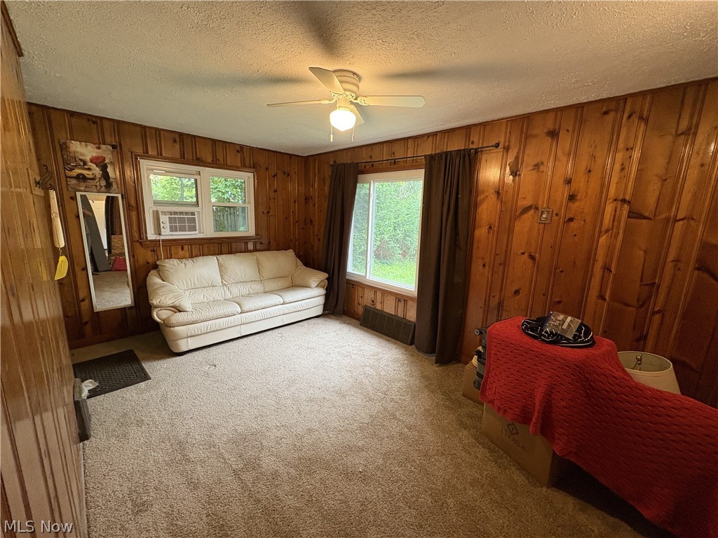 727 Wooster Road North Barberton, OH 44203 - Photo 30 of 37 Studio's main room featuring wood paneling on walls, light-colored carpeting, multiple windows, and a ceiling fan with integrated lighting