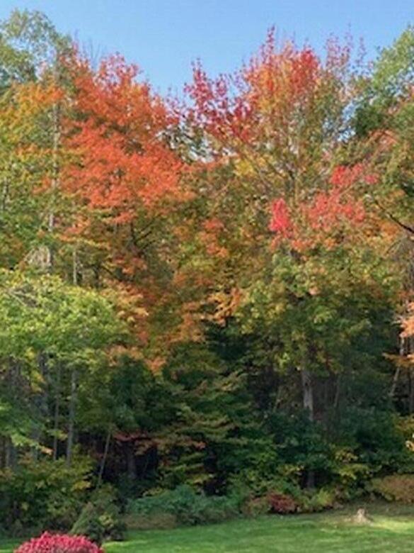 74 Town Farm Road Hampden, ME 04444 - Photo 41 of 60 IMG_1558 (Copy)