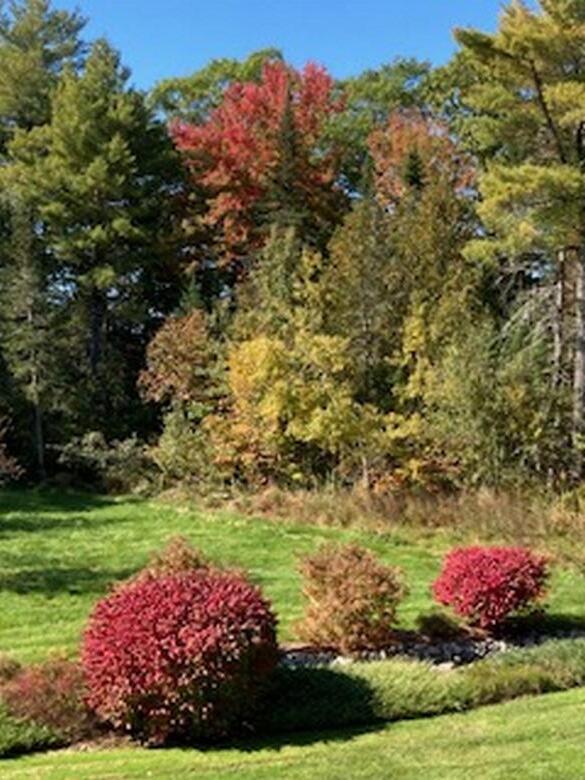 74 Town Farm Road Hampden, ME 04444 - Photo 43 of 60 IMG_1806 (Copy)