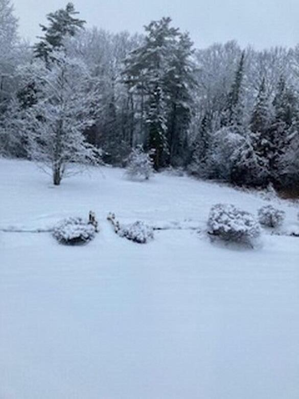 74 Town Farm Road Hampden, ME 04444 - Photo 45 of 60 IMG_2139 (Copy)