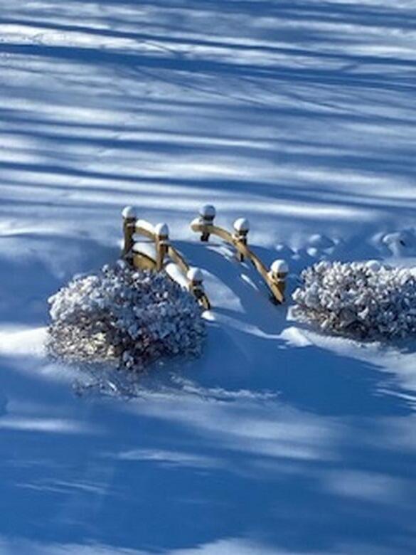 74 Town Farm Road Hampden, ME 04444 - Photo 56 of 60 IMG_2885 (Copy)