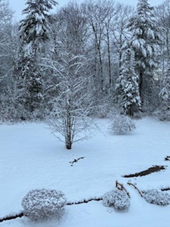 74 Town Farm Road Hampden, ME 04444 - Photo 57 of 60 IMG_2977 (Copy)