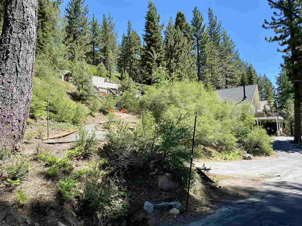 1542 Sandy Way Olympic Valley, CA 96146 - Photo 2 of 20 a view of a yard with plants and large trees