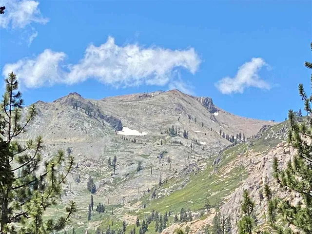 a view of a dry yard with mountains in the background
