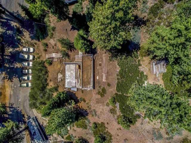 1542 Sandy Way Olympic Valley, CA 96146 - Photo 20 of 20 a view of a large yard with plants and large trees