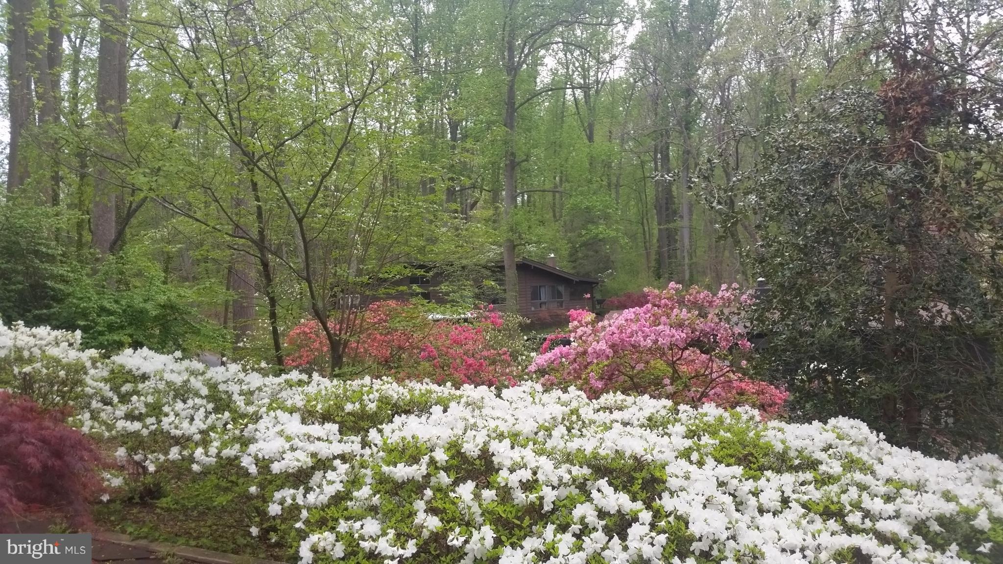 4017 Easterbell Road Port Republic, MD 20676 - Photo 22 of 30 a view of a bunch of flowers