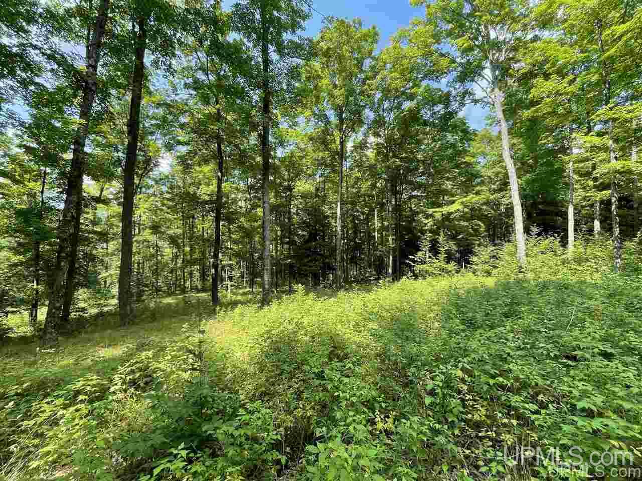 Tbd Sand Road, Unit 2 Powers, MI 49874 - Photo 21 of 38