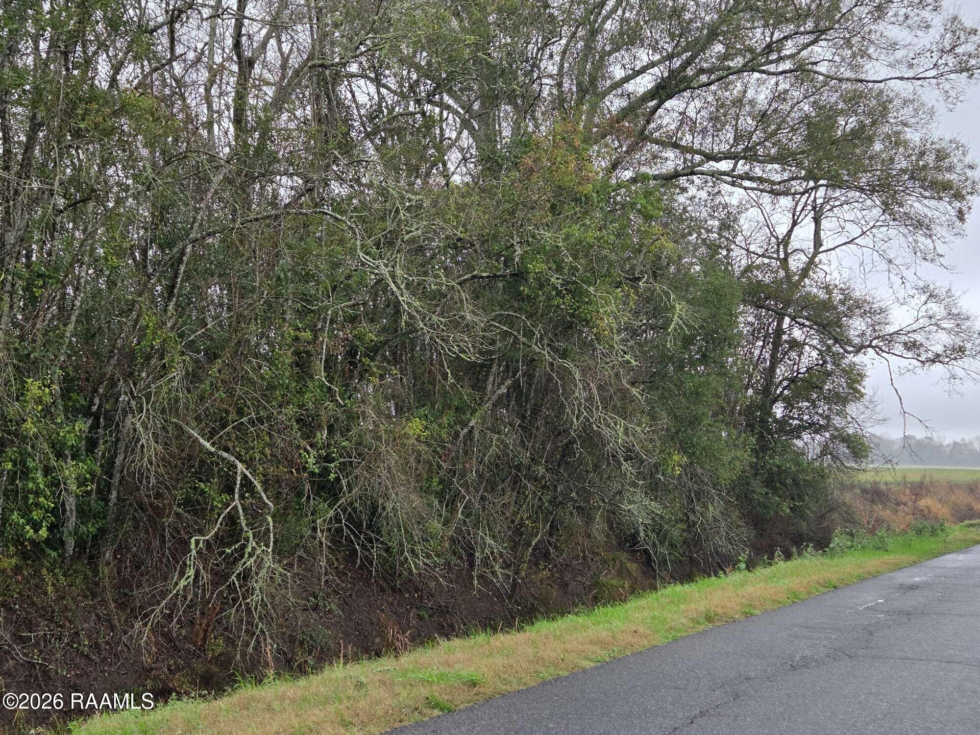 650 Jennings Road Opelousas, LA 70570 - Photo 2 of 7 Compress_20260210_142644_4374