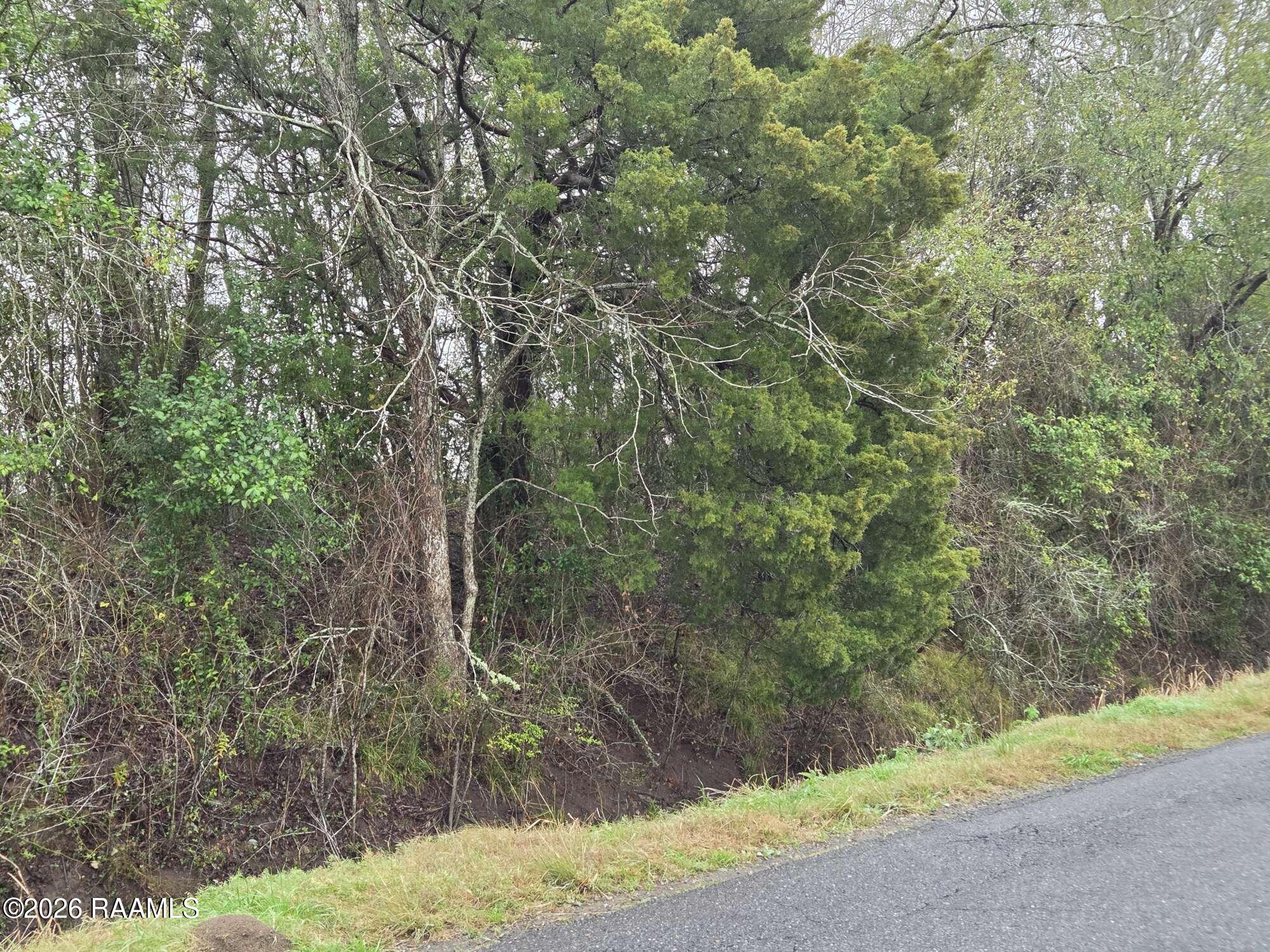 650 Jennings Road Opelousas, LA 70570 - Photo 5 of 7 Compress_20260210_142644_4729