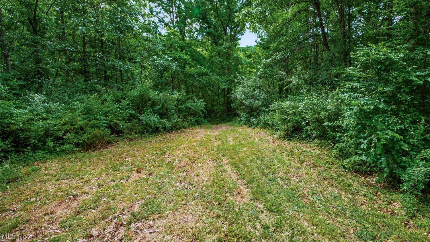 10780 Young Hickory Road Cumberland, OH 43732 - Photo 44 of 50