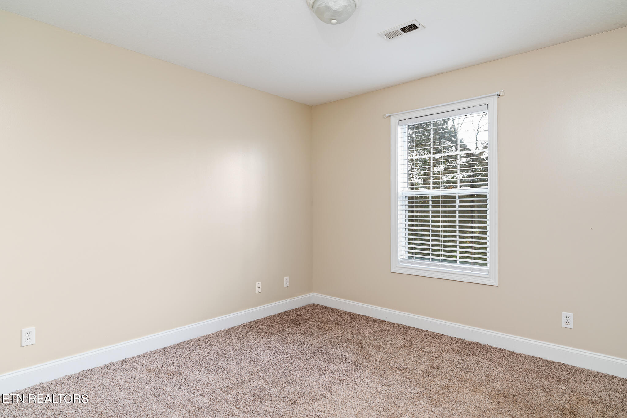 5301 Mattice Lane Corryton, TN 37721 - Photo 18 of 31 untitled-18