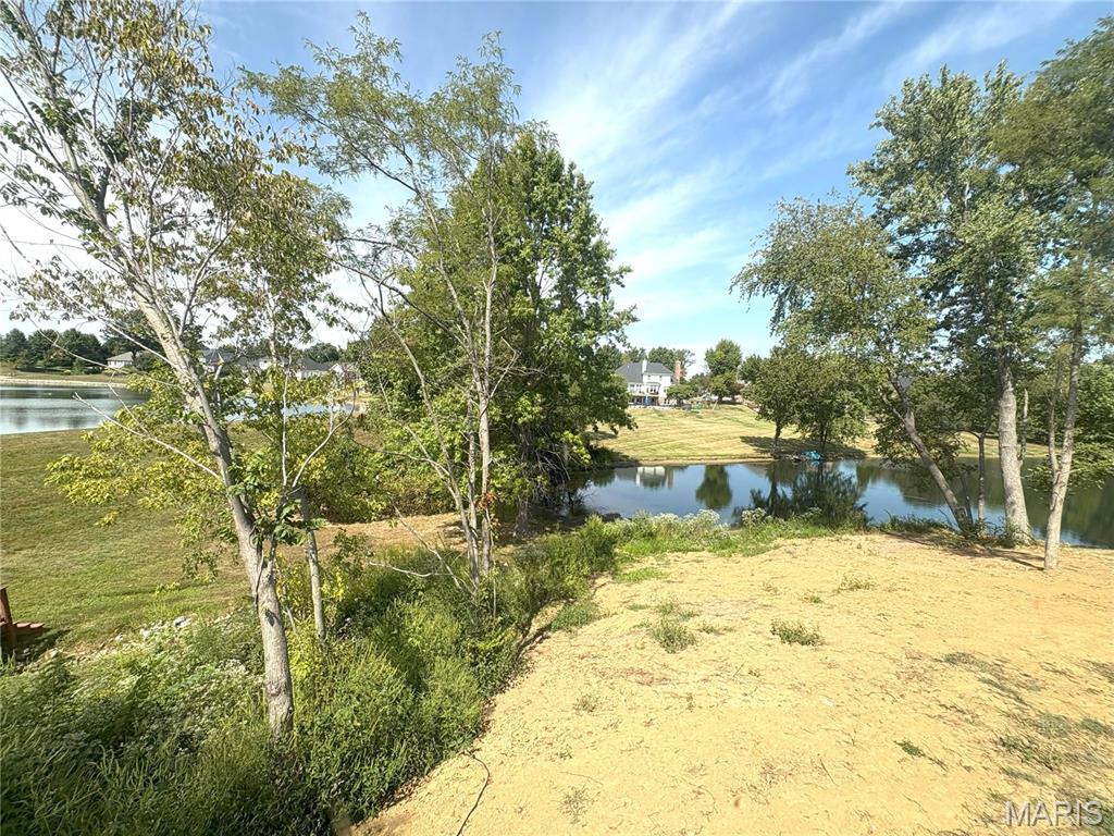 8429 Treybrooke Place O'Fallon, IL 62269 - Photo 6 of 57