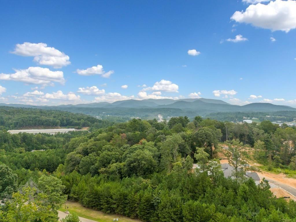 179 Summit View Drive Ellijay, GA 30540 - Photo 7 of 19