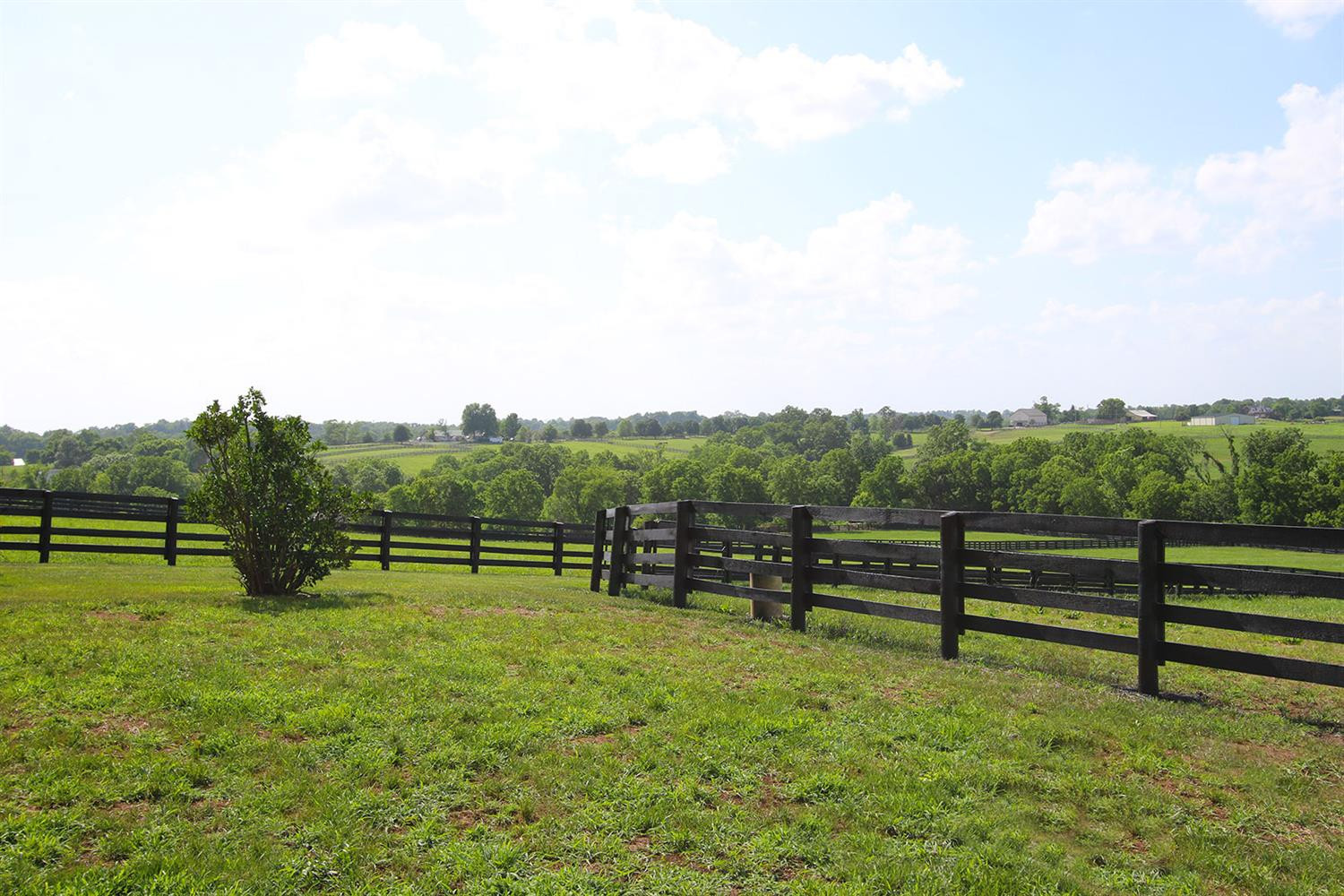 6374 Delaney Ferry Road, Unit EXTENDED Versailles, KY 40383 - Photo 48 of 60 Photo 48