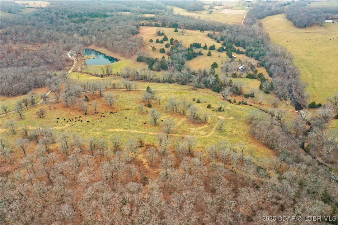 Three Three Creek Road Preston, MO 65732 - Photo 11 of 11