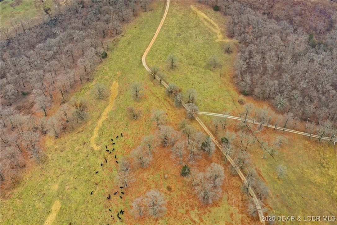 Three Three Creek Road Preston, MO 65732 - Photo 9 of 11