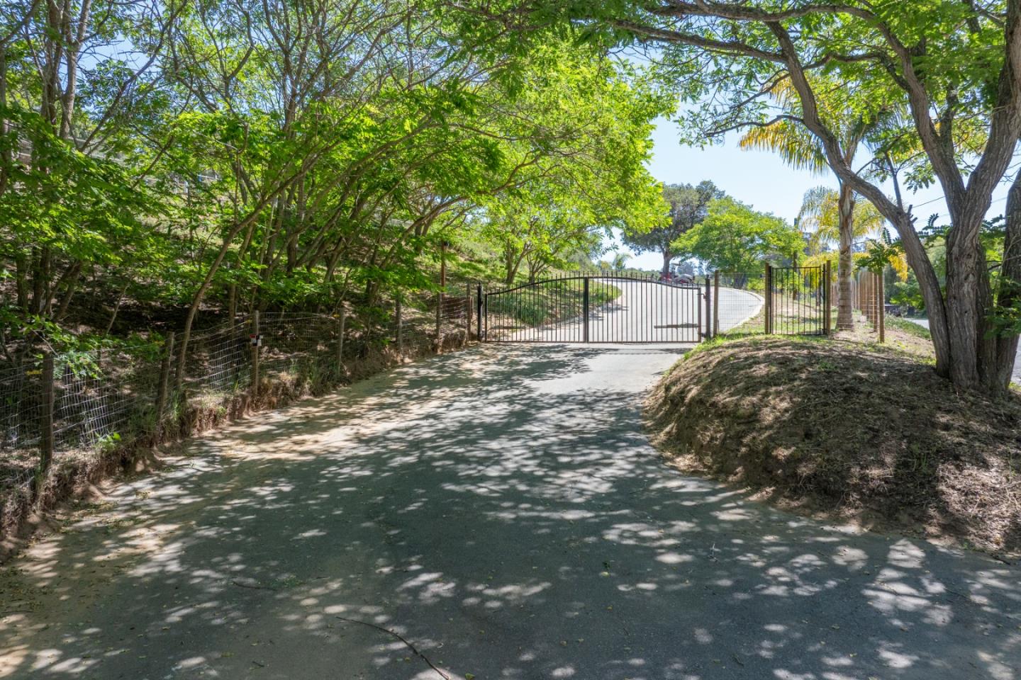 67 Tucker Road Watsonville, CA 95076 - Photo 32 of 32 a view of a tree with a yard
