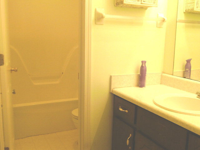 201 East Myrtle Avenue Foley, AL 36535 - Photo 17 of 21 Master Bath