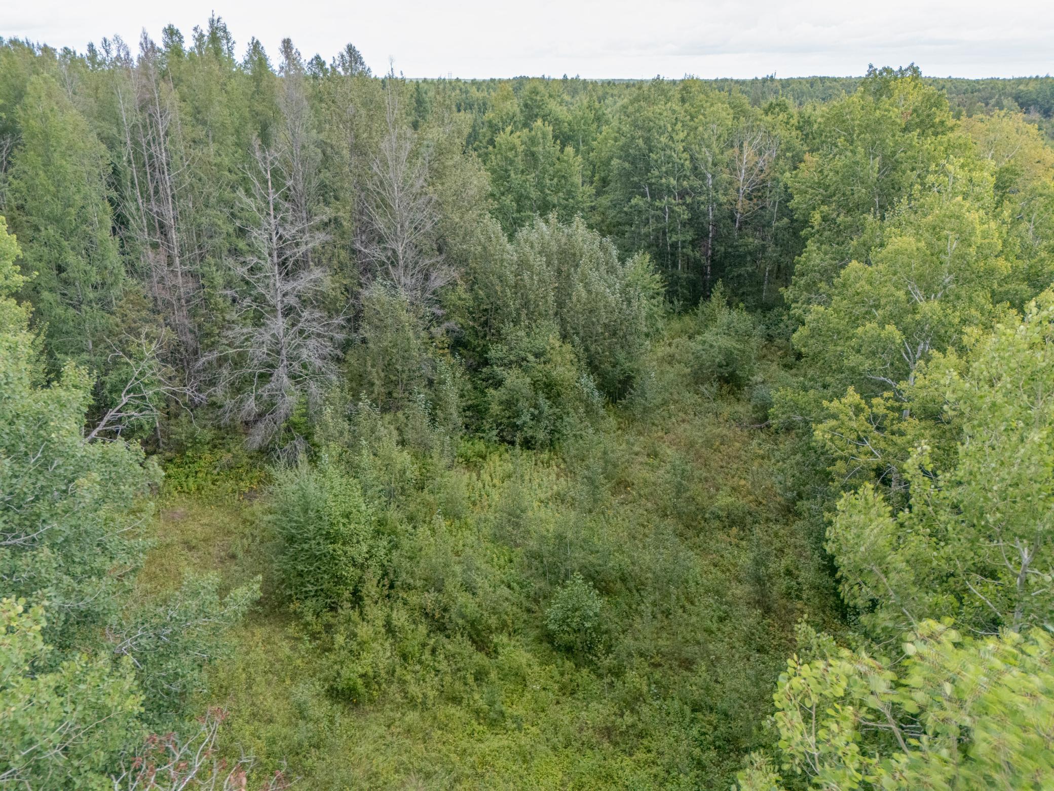 Tbd Peary Road Cotton, MN 55724 - Photo 9 of 12 Gallery Image 9